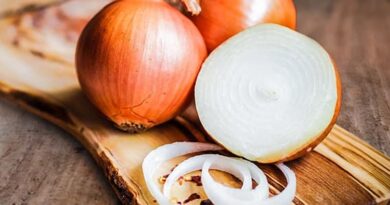 Les oignons contiennent de nombreux antioxydants et composés soufrés. Ils ont été associés à un risque réduit de cancer, à une baisse de la glycémie et à une meilleure santé osseuse.