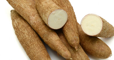 racine de manioc et manioc moulu