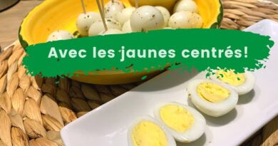 Les œufs de caille sont de petits trésors nutritionnels souvent négligés, mais qui méritent toute notre attention. Ces petits œufs d'apparence modeste renferment un potentiel nutritif surprenant, rivalisant même parfois avec les œufs de poule. Dans cet article, nous explorerons les bienfaits des œufs de caille, leurs utilisations culinaires et leur impact sur la santé.