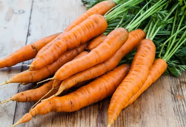Dans cet article, nous explorerons les origines de la carotte, ses avantages pour la santé, ainsi que quelques idées de recettes pour profiter pleinement de ce légume racine.