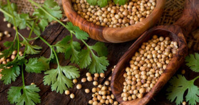 Pourquoi la Coriandre en Cuisine et pour la Santé