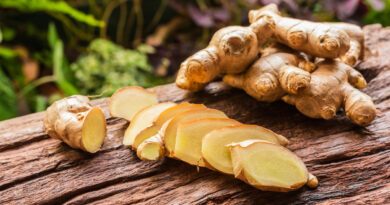 Les bienfaits du gingembre : naturelle multiples vertus